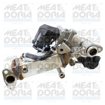EGR Module